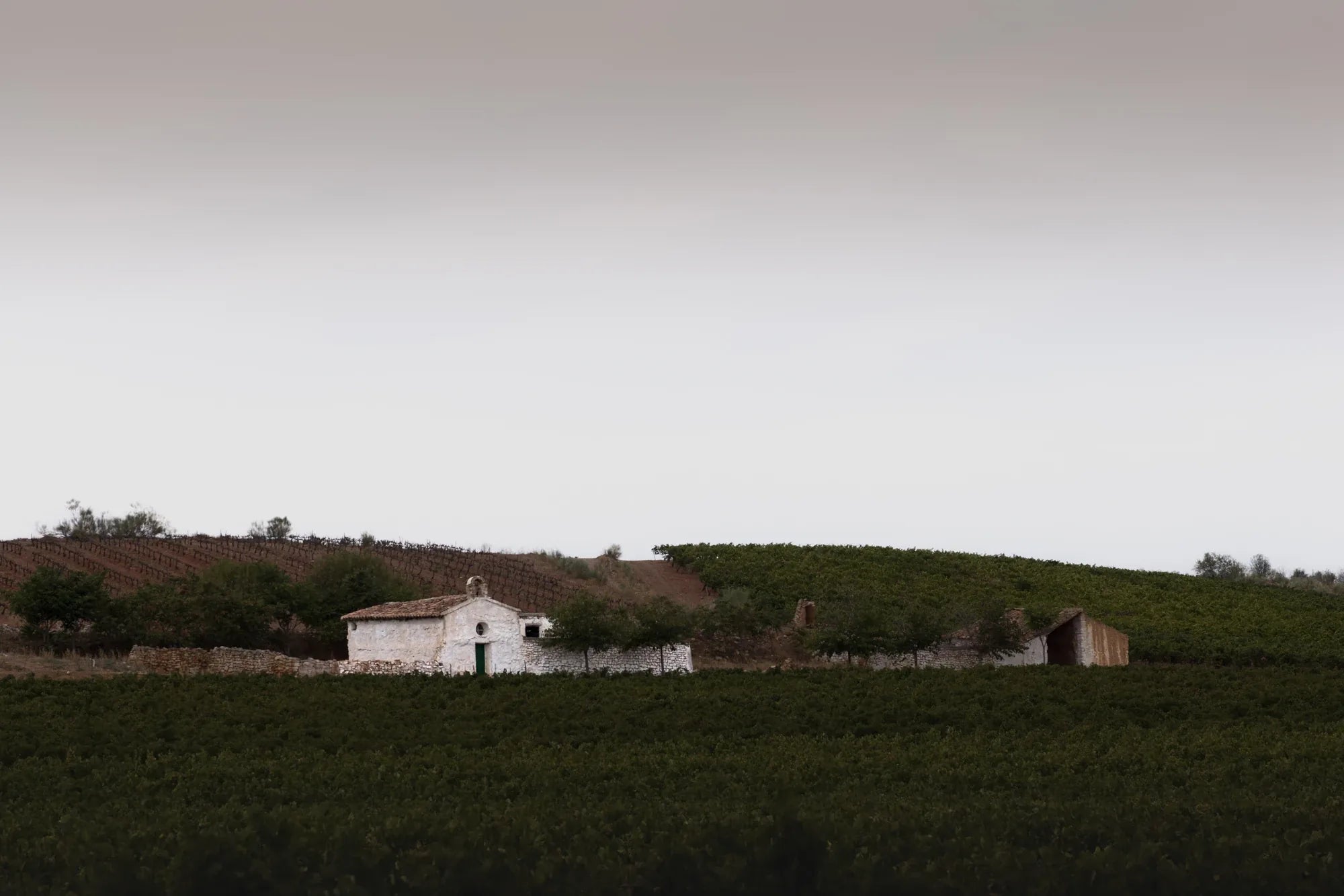Paisaje de viñedos y construcciones rurales bajo un cielo nublado.